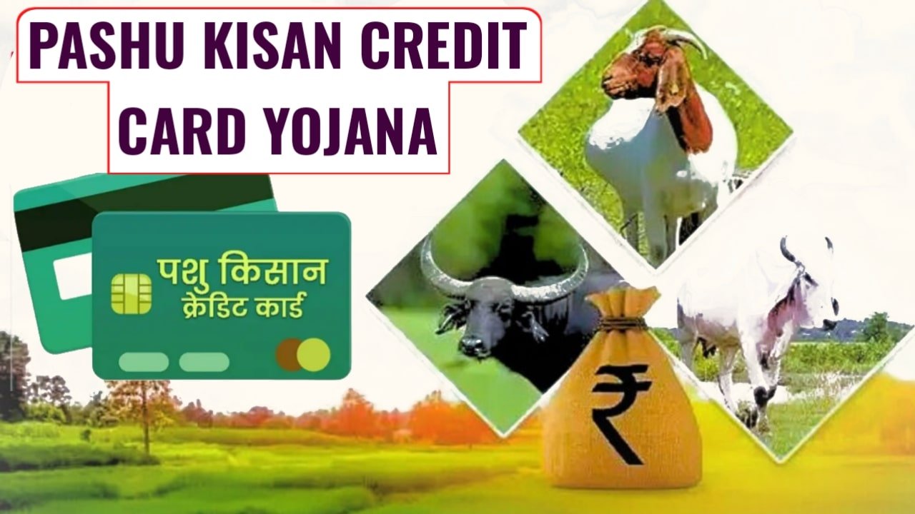 Pashu Kisan Credit Card Yojana
