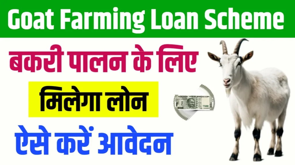 Goat Farming Loan Subsidy 2024