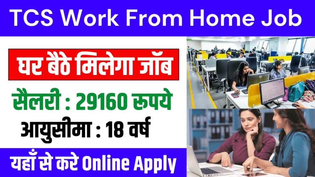 TCS Work From Home Job